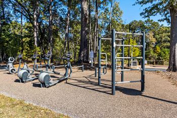 a group of exercise equipment in a park with trees